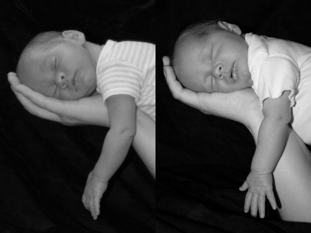 Tyler & Oliver one month comparison