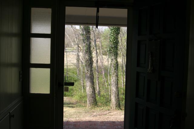 Headed out for a walk