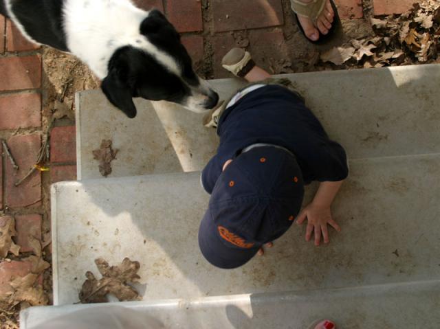 I don't need any help, Eddie!