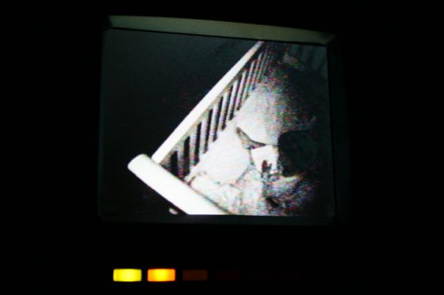 Photo Diary - April 8, 2008