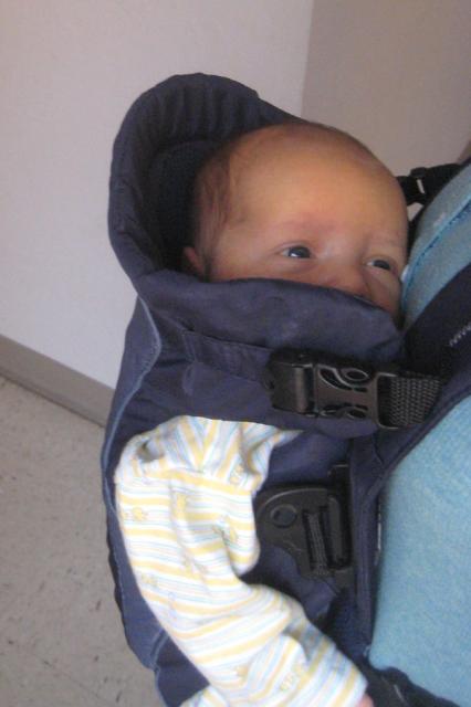 I put him in the pouch straight out of the car, hoping he'd fall asleep