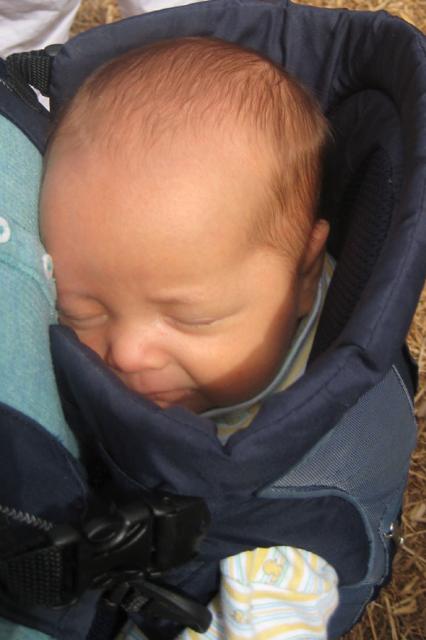 Back outside, and Oliver's still sleeping