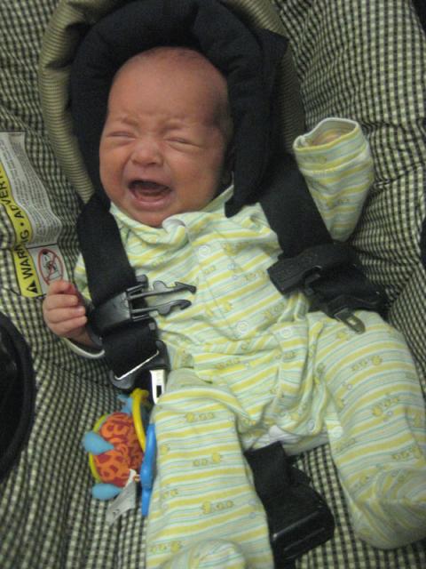 Somebody's not happy