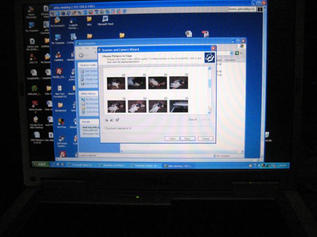 Getting pictures from the day off the camera