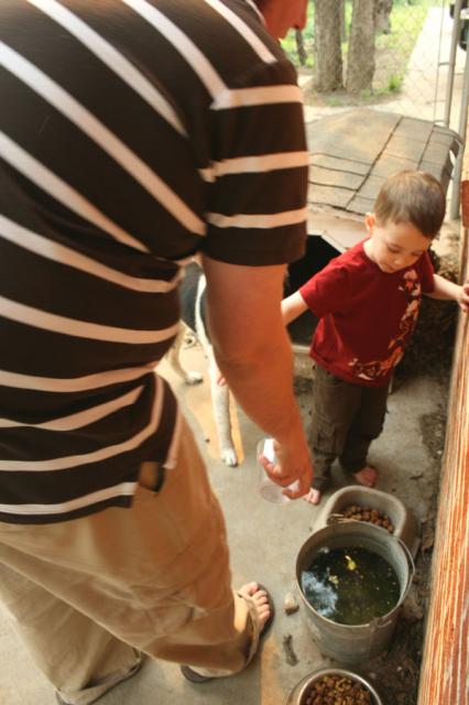 And dump it in the bowls!