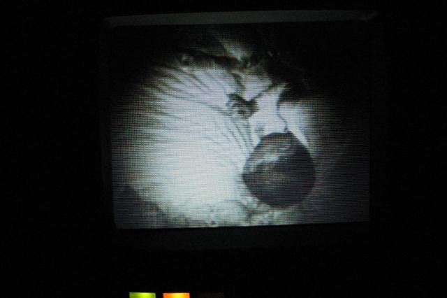 Checking in on Tyler - he's out