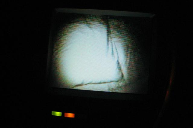 And Tyler's not on his pillow, but he's in there somewhere...