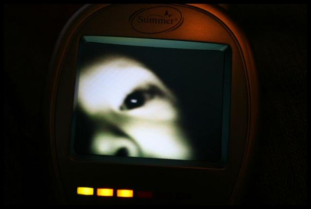 Pic of the Week ~ 10/26/08 (He's onto us!)