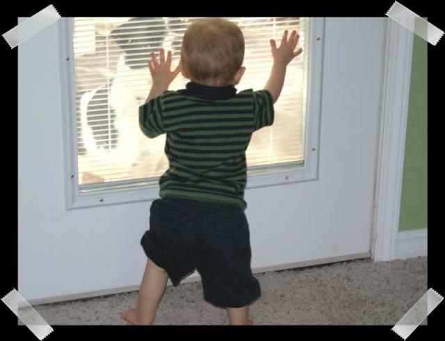 Pic of the Week ~ 10/8/06 (Playing with Eddie)