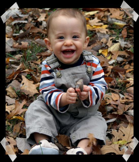 Pic of the Week ~ 11/12/06 (Happy Boy in the Leaves)