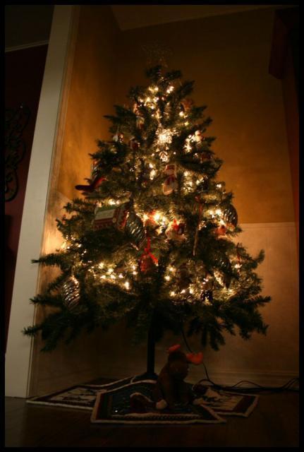 Pic of the Week ~ 12/23/07 (Lumpy says Merry Christmas!)