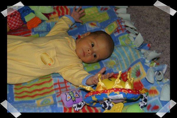 Pic of the Week ~ 1/29/06 (Playtime!)