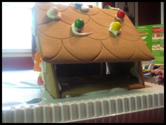 Pic of the Week ~ 1/4/09 (Saddest gingerbread house on the block)