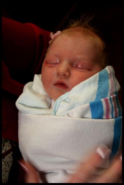 Pic of the Week ~ 1/6/08 (Welcome to the world, Elyn!)