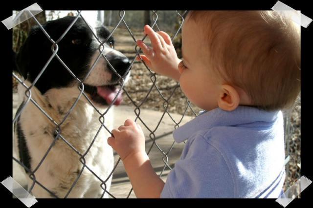 Pic of the Week ~ 2/11/07 (Let's play, Eddie!)