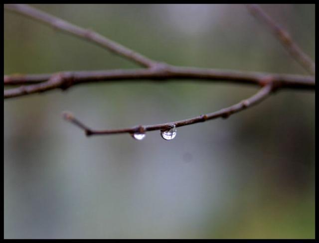 Pic of the Week ~ 3/11/07 (Raindrop reflections)