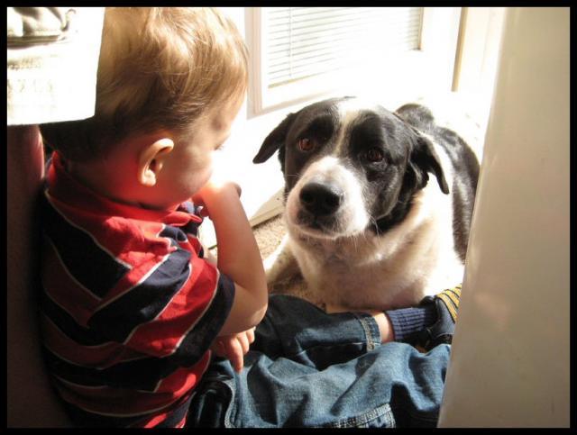 Pic of the Week ~ 4/13/08 (Hi Eddie!)