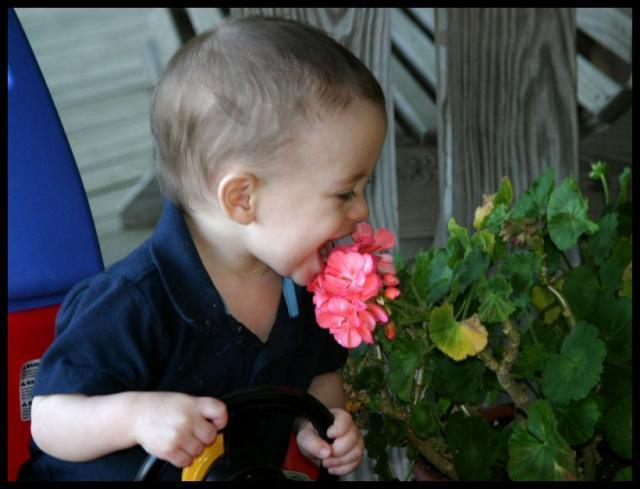 Pic of the Week ~ 4/15/07 (Smelling the flower)