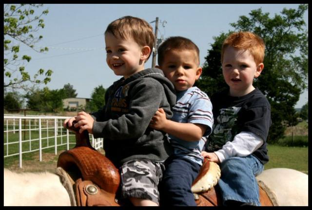 Pic of the Week ~ 4/27/08 (Cowboy cousins)