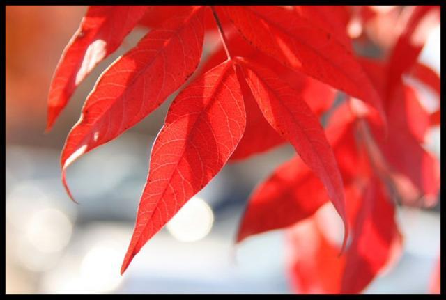 Pic of the Week ~ 6/8/08 (Nature)