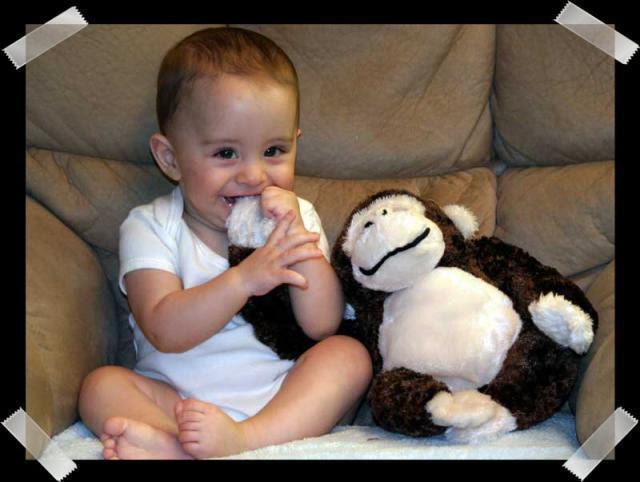 Pic of the Week ~ 7/9/06 (Mmmm, monkey!)