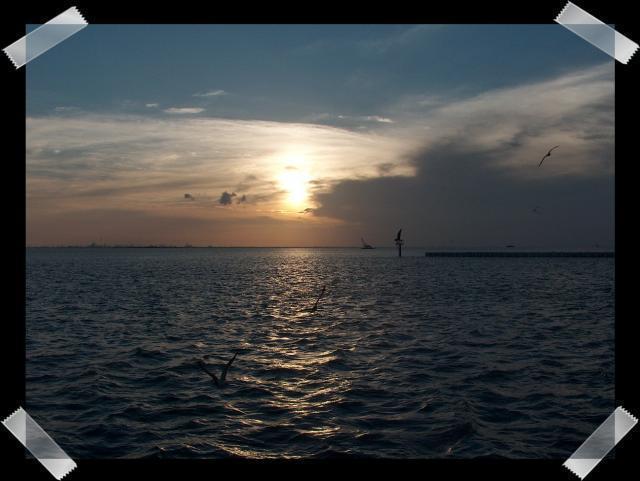 Pic of the Week ~ 8/21/05 (A beach sunset)