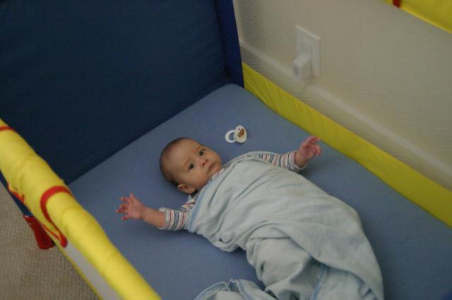 Ha ha, you only thought I was taking a nap!