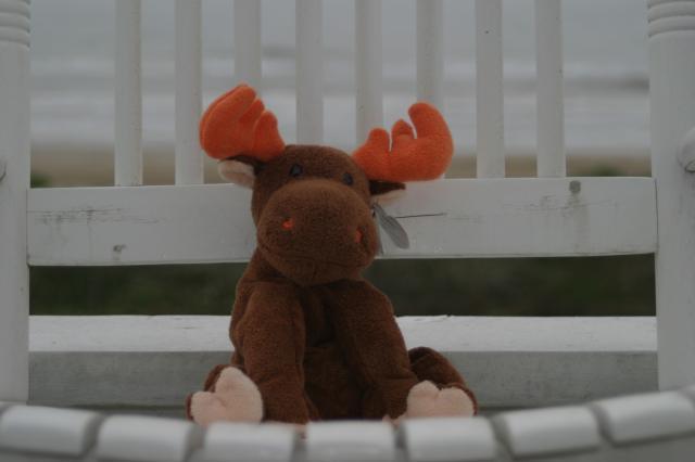 Lumpy's on Spring Break, too!