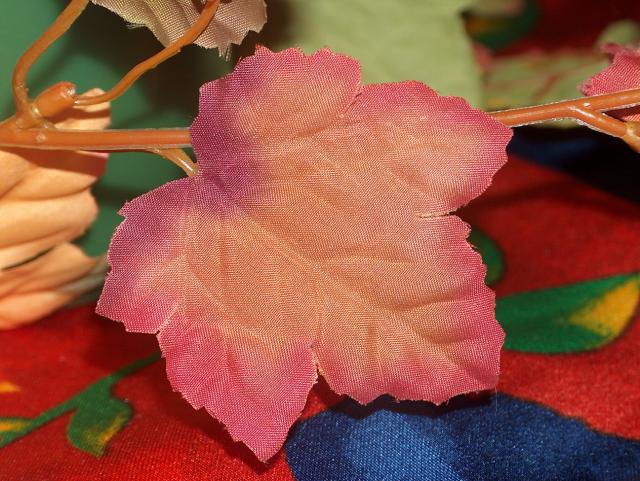 A Thanksgiving Leaf