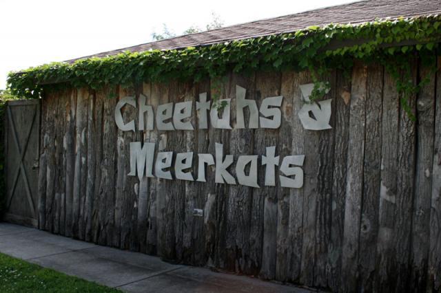 Hmmm, I wonder what's in this building?