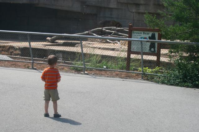 Oohhhh, another bear!