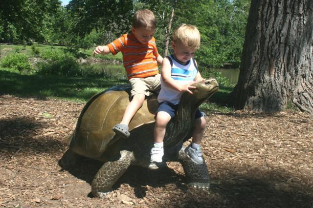 Not a real turtle, but the boys didn't seem to notice