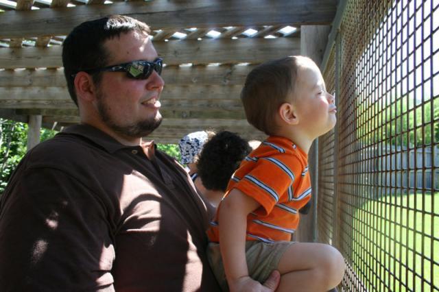 Making elephant noises