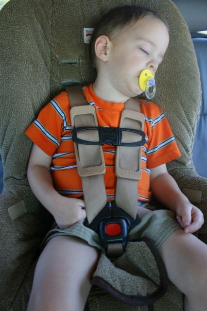 And a good nap after a great day!