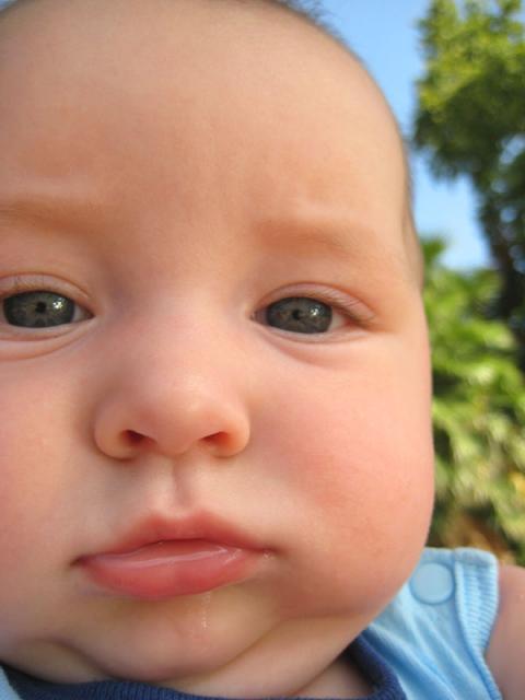 Oliver, plus all his chins